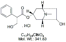 APZ04H: Atropine EP Impurity D (HCl)