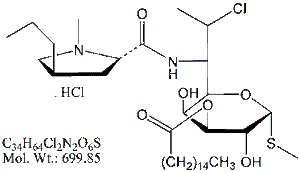 CMH53H: Clindamycin 3-Palmitate Impurity