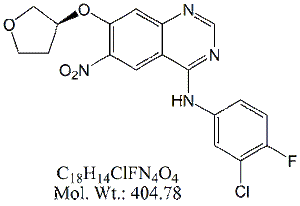 AFN61: Afatinib Impurity A