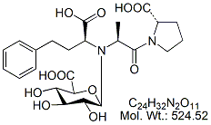 EPX56: Enalaprilat N-Glucuronide