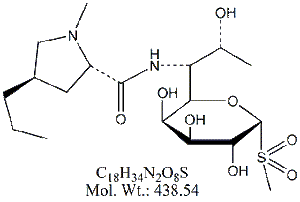 LCM54: Lincomycin Sulfone