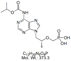 TNF65: Tenofovir Isopropyl Carbamate