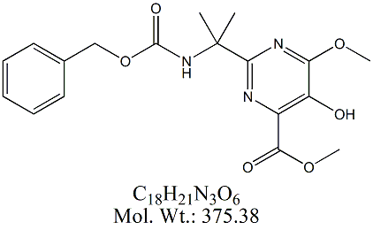 RGV62: Raltegravir RC 2