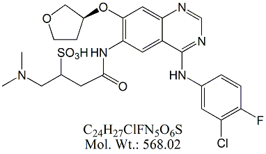 AFN83: Afatinib RC 13