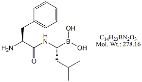 BTZ82: Bortezomib RC 2