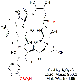 MCF01A: Micafungin Nucleus