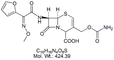 CRS42: Cefuroxime Acid 3-Ene