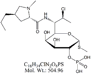 CMP00: Clindamycin Phosphate