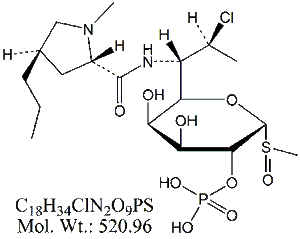 CMP60: Clindamycin Phosphate Sulfoxide