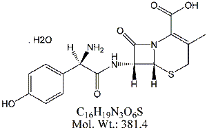 CDX00H: Cefadroxil (Monohydrate)