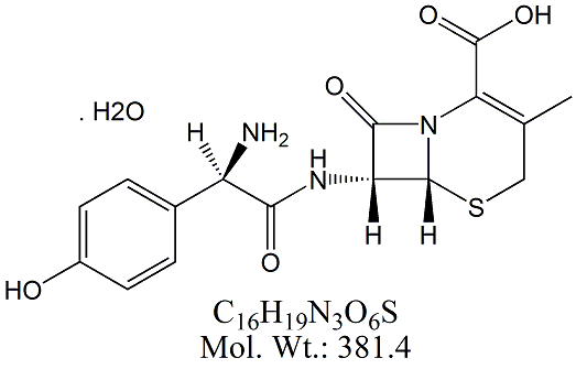 CDX00H: Cefadroxil (Monohydrate)