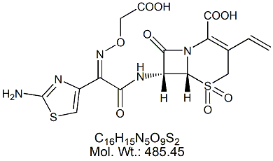 CXM52: Cefixime Sulfone