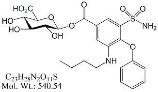 BMM60: Bumetanide β-D-Glucuronide