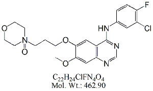 GFT51: Gefitinib Morpholine N-Oxide