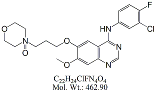 GFT51: Gefitinib Morpholine N-Oxide