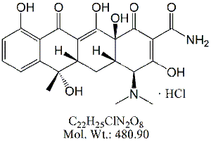 TCY00H: Tetracycline HCl