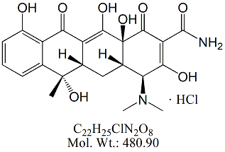 TCY00H: Tetracycline HCl