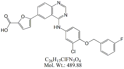 LPT55: Lapatinib Carboxylic Acid Impurity