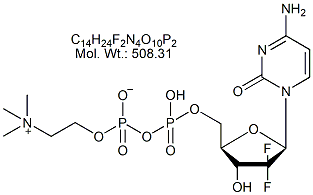 GCT53: Gemcitabine Diphosphate Choline