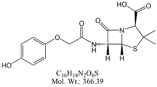 PNV50A: Penicillin V p-Hydroxy