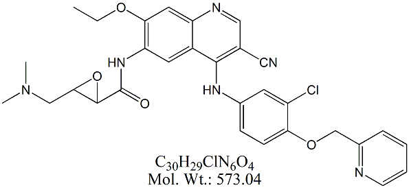 NTB56: Neratinib Impurity 6