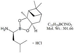 BTZ81: Bortezomib RC 1