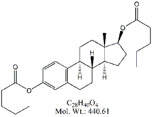 EDV55: Estradiol Divalerate