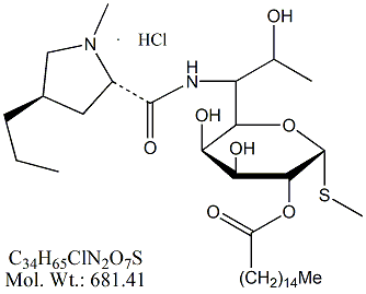 LCM52H: Lincomycin 2-Palmitate HCl