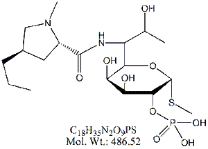 LCM62: Lincomycin 2-Phosphate