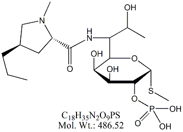 LCM62: Lincomycin 2-Phosphate